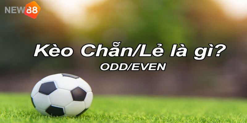 Tìm hiểu chi tiết về hình thức cá cược E/O trong bộ môn bóng đá